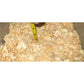 Pestell Pet Products Easy Clean Small Animals Pine Bedding 20L
