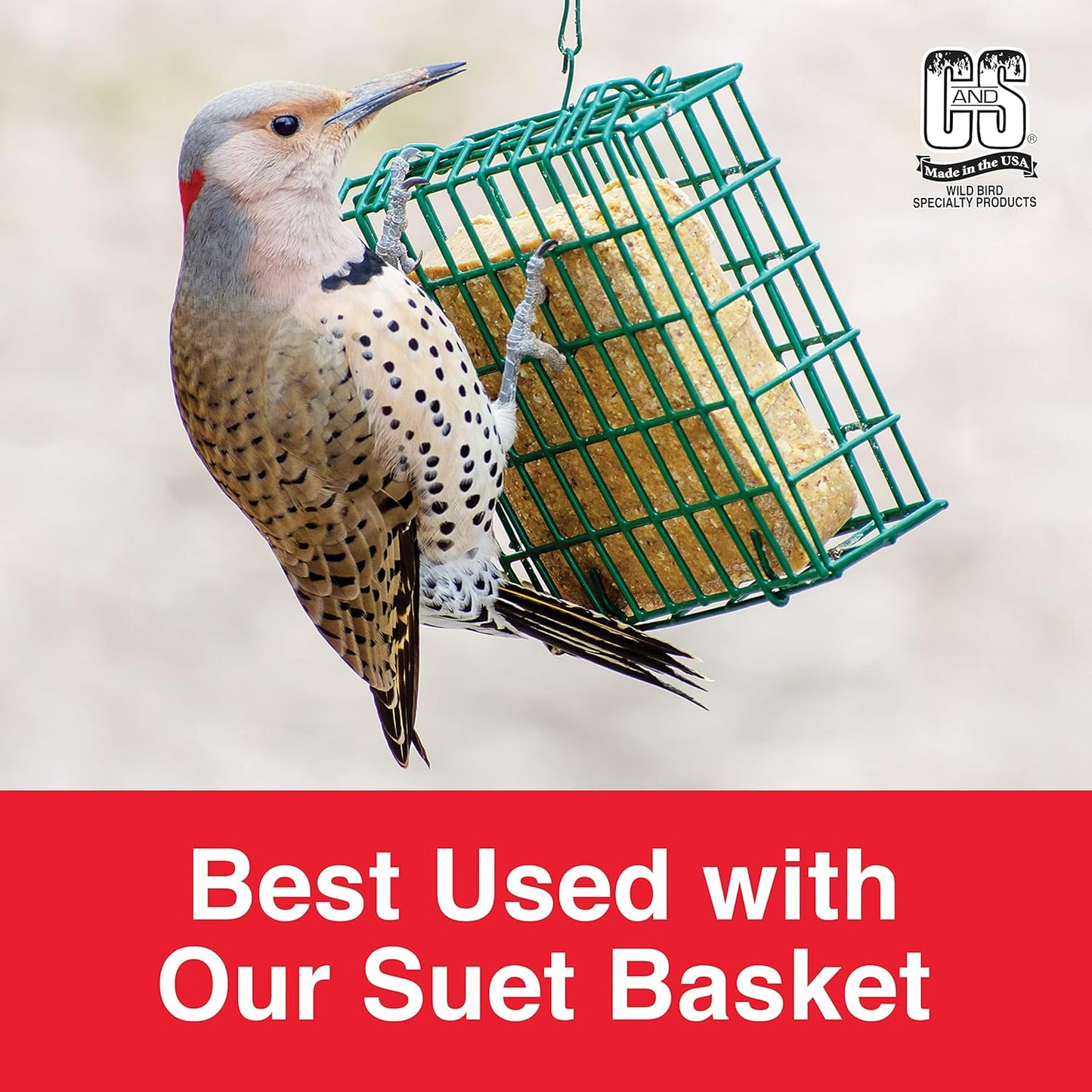 C&S Berry Suet Treat 11.75 oz Wild Bird Suet Cake Year-Round Cranberry Blend