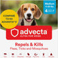 Advecta Ultra Flea Tick Dogs Medium 4 Month Supply Waterproof Topical Kills Fast