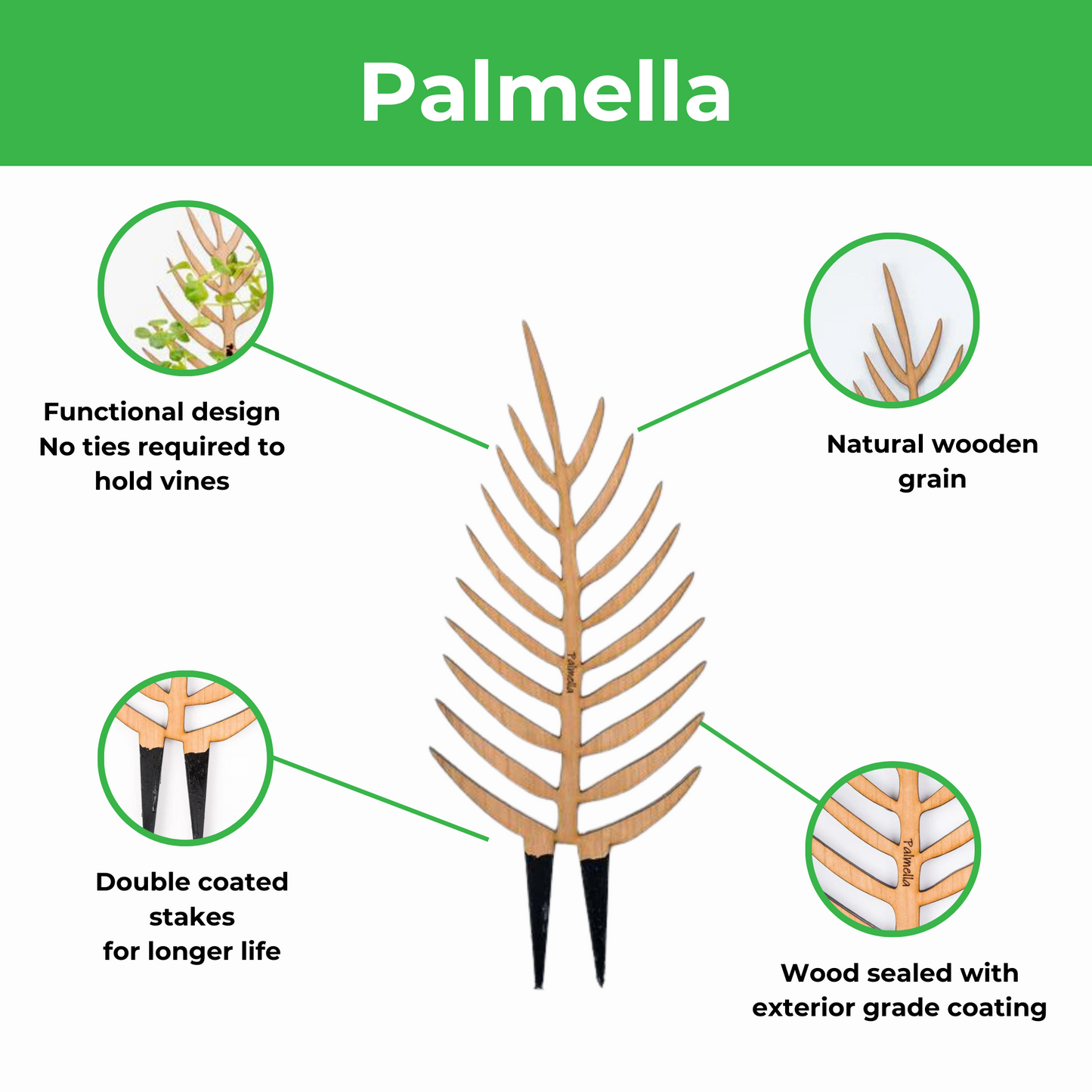 Palmella - Plant trellis inspired by the Palm Leaf