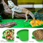 2 Pcs Leaf Reptile Food Water Bowl Plate Dish For Tortoise, Lizards, Young Bearded Dragons, Small Snakes, 2 Sizes