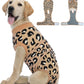 Dog Recovery Onesie Suit After Surgery – 4 Colors, XS–2XL