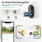 Bird Feeder Camera WiFi Smart AI Motion Detection 1080P 1.5L