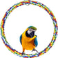 Bird Swing