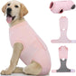 Female Dog Recovery Suit After Spay, XS–2XL