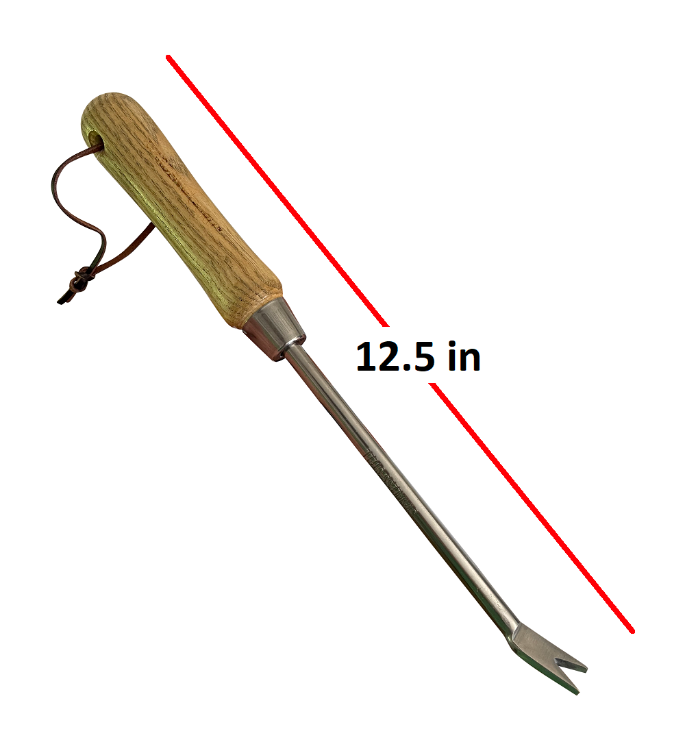Stainless Steel Garden Dandelion Weeder (classic wood handle)