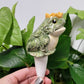 Prince Frog Watering Spike