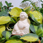 Buddha Watering Spike