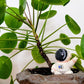 Ceramic Self-Watering Plant Spike - Astronaut Watering Spike