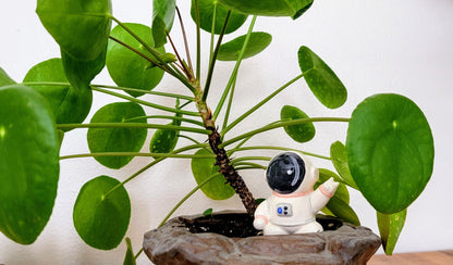 Ceramic Self-Watering Plant Spike - Astronaut Watering Spike
