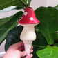 X-Large Toadstool Watering Spike