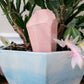 Large Diamond Crystal Watering Spike