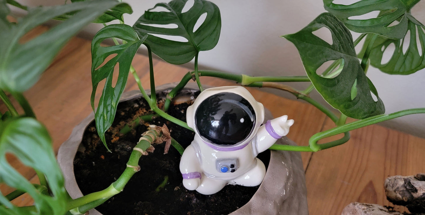 Ceramic Self-Watering Plant Spike - Astronaut Watering Spike