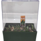 Aloe Seed Square Terrarium