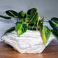 Large Natural Stone Self Watering / African Violet Pot