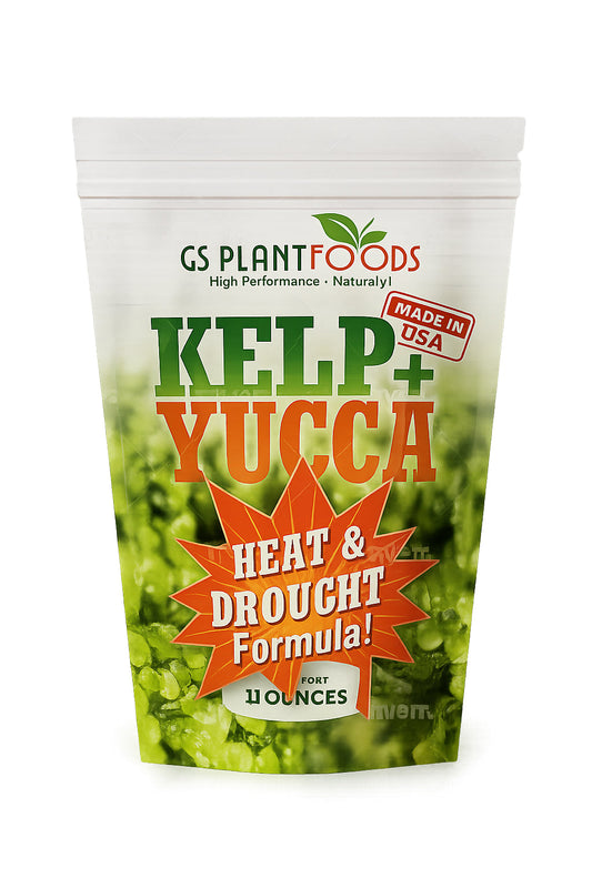 Kelp + Yucca – Organic Soil Moisture Retainer & Plant Growth Enhancer – Seaweed + Yucca Extract Blend for Stronger Roots, Better Water Absorption & Stress Resistance
