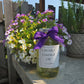 Bulk Lavender Essential Oil Half Gallon Washington Grown Aromatherapy