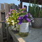 Bulk Lavender Essential Oil Half Gallon Washington Grown Aromatherapy