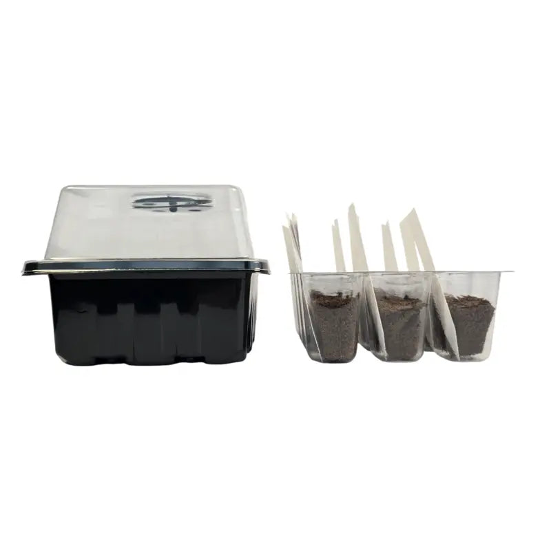 Grab & Grow Pre-Seeded Starter Kit