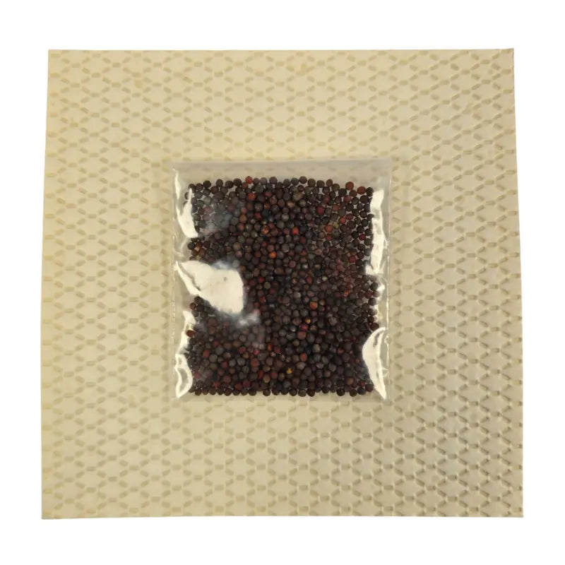 Cilantro Monogerm Microgreens Seeds