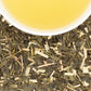 Green Tea with Coconut, Ginger and Vanilla, HRP Tin of 30 Sachets