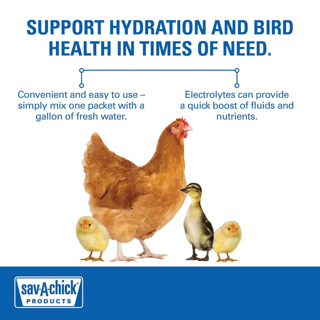 Sav-A-Chick 18PK Bundle Electrolyte Vitamin & Probiotic Poultry Health Packets