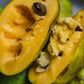 5 Paw Paw Tree Seeds (Asimina Triloba) | Fresh Stratified Indiana Banana Seeds | Ready to Plant | Unique Fruit & Purple Blossoms