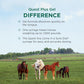 Zoetis Quest Plus Horse Wormer Gel Moxidectin Praziquantel Paste Tube