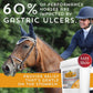 Absorbine Bute-Less Performance Comfort & Recovery Support Pellets 3.75 lbs.