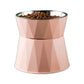High Foot Neck Protection Pet Stainless Steel Bowl