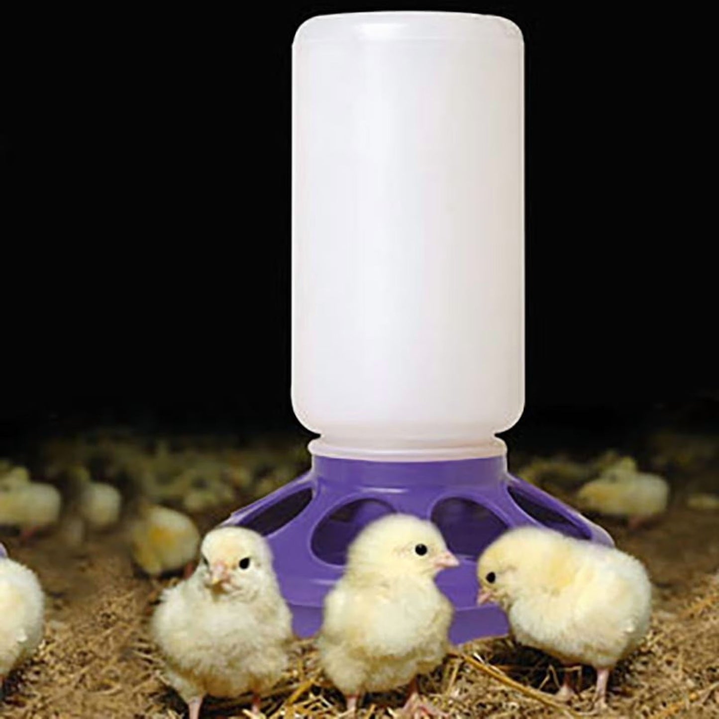 Little Giant 1 QT Poultry Chick Feeder or Waterer Replacement Parts Plastic & Full Sets