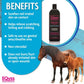 Horse Grooming & Stable Bundle Micro-Tek Shampoo, Grooming Brush, Muffins & Mat