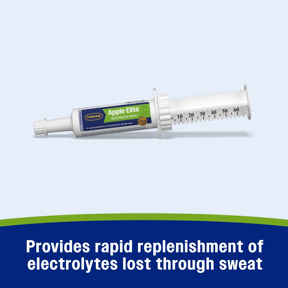Farnam Apple Elite Electrolyte Paste for Horses Hydration Support Apple Flavor 60 cc