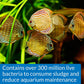 STRESS ZYME Freshwater and Saltwater Aquarium