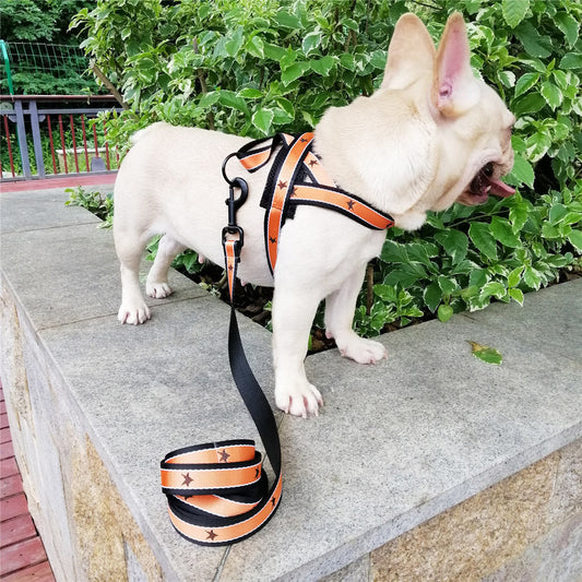 New XINGX Pattern Pet's Chest-back