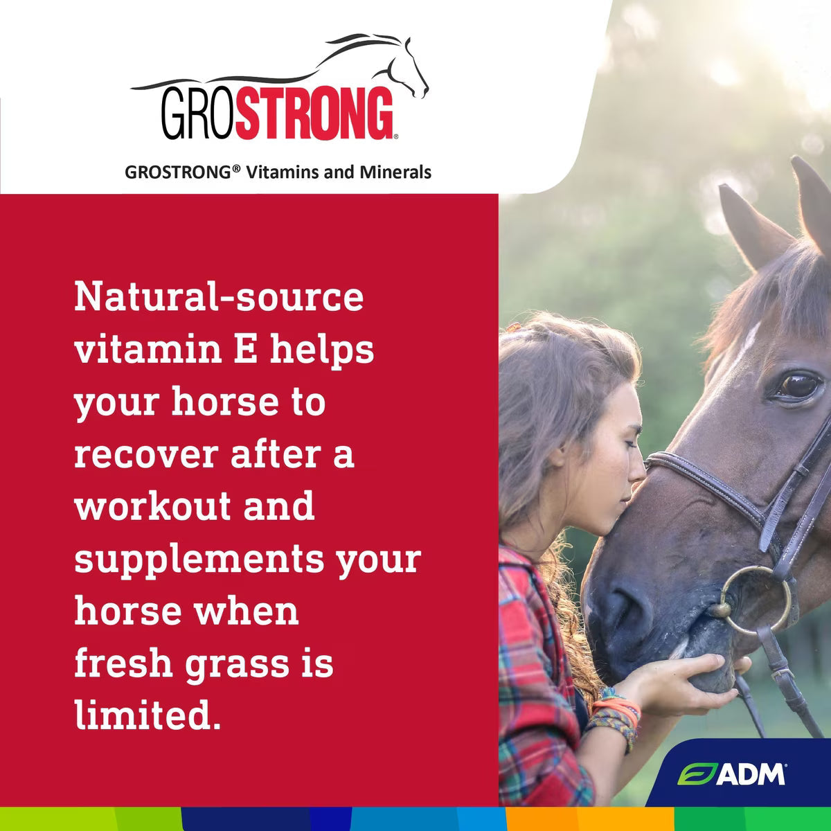 ADM Grostrong Horse Feed Vitamin & Mineral Nutrition 25 lbs.