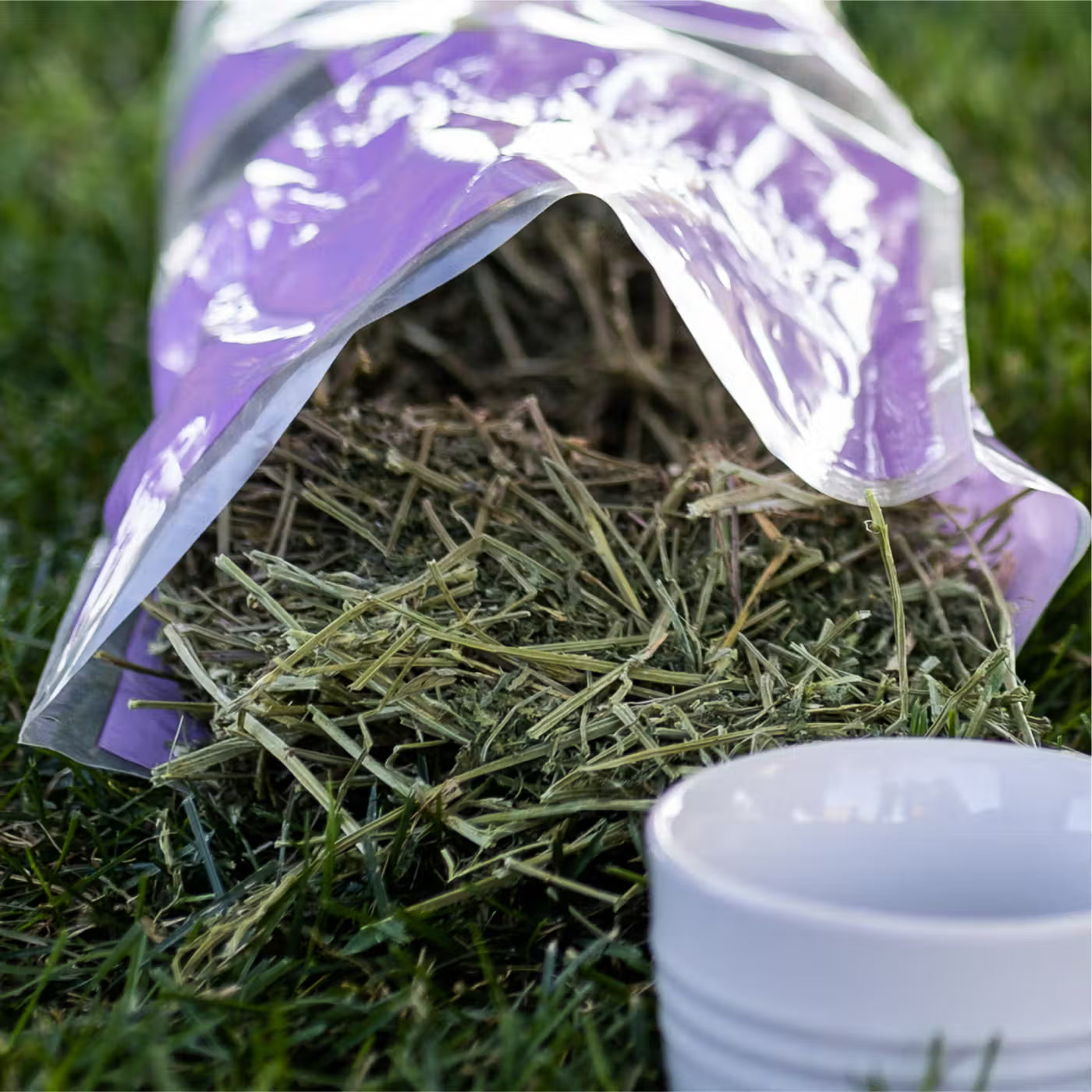 Standlee Premium Alfalfa Hay 24oz. Small Animal Forage High Fiber Natural USA