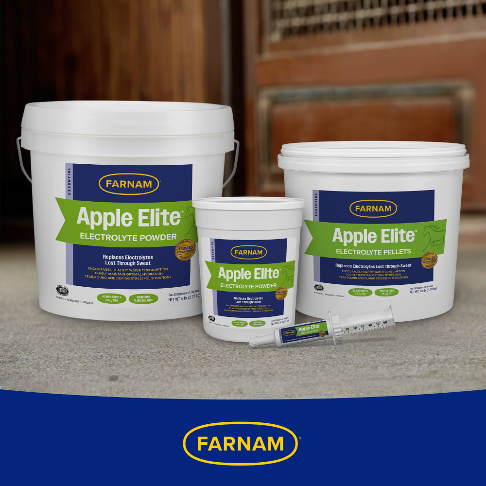 Farnam Apple Elite Electrolyte Paste for Horses Hydration Support Apple Flavor 60 cc