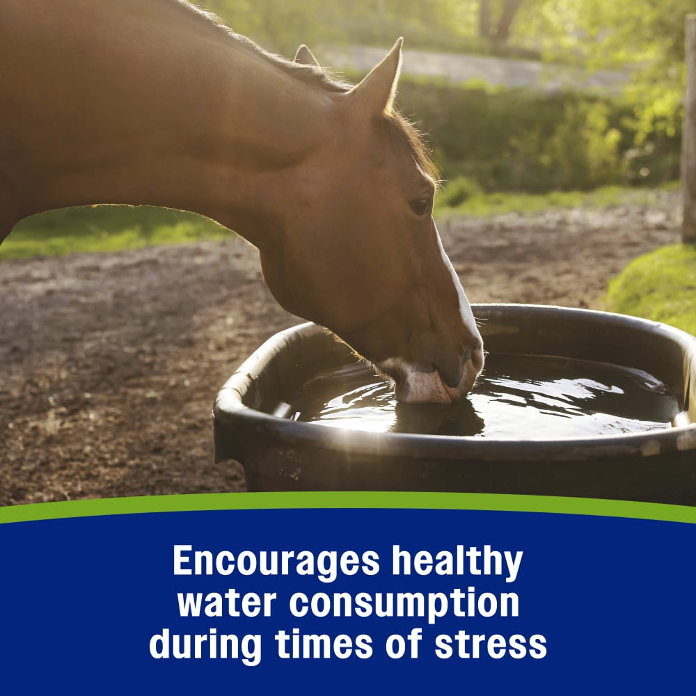 Farnam Apple Elite Electrolyte Paste for Horses Hydration Support Apple Flavor 60 cc