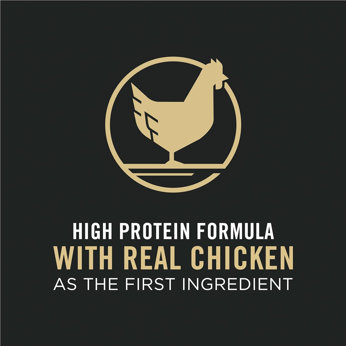 Comida para gatos alta en proteínas