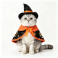 Pet Costume Cat Transformation Funny Holiday Dress-Up Outfit