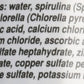 Seachem Vitality 250ml for Marine Fishes