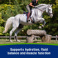 Farnam Apple Elite Electrolyte Paste for Horses Hydration Support Apple Flavor 60 cc