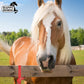 Happy Horse 22″ Nylon Bucket Strap, Blue