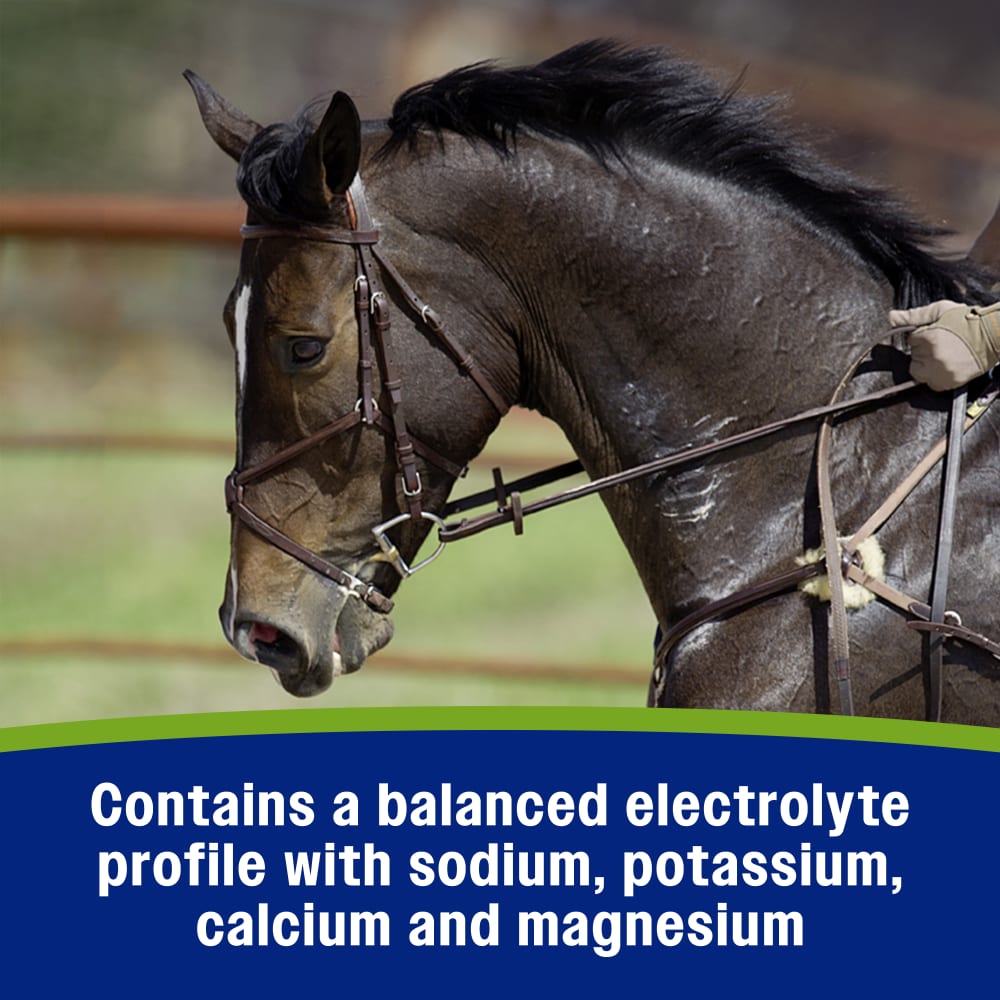Farnam Apple Elite Electrolyte Paste for Horses Hydration Support Apple Flavor 60 cc