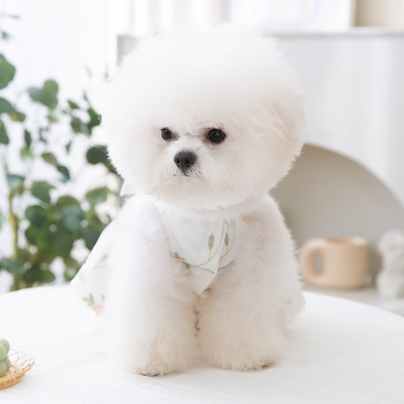 Double-layered Princess-style Skirt For Small And Medium-sized Dogs