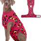 Dog Recovery Onesie Suit After Surgery – 4 Colors, XS–2XL