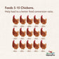 Harris Farms Free Range Hanging Poultry Feeder 7 lbs. Capacity