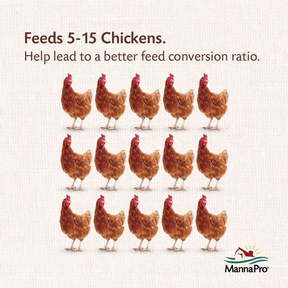 Harris Farms Free Range Hanging Poultry Feeder 7 lbs. Capacity