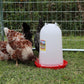 Little Giant 3 Gallon Poultry Drinker 2-Pack Gravity Fed Chicken Waterer Red Base
